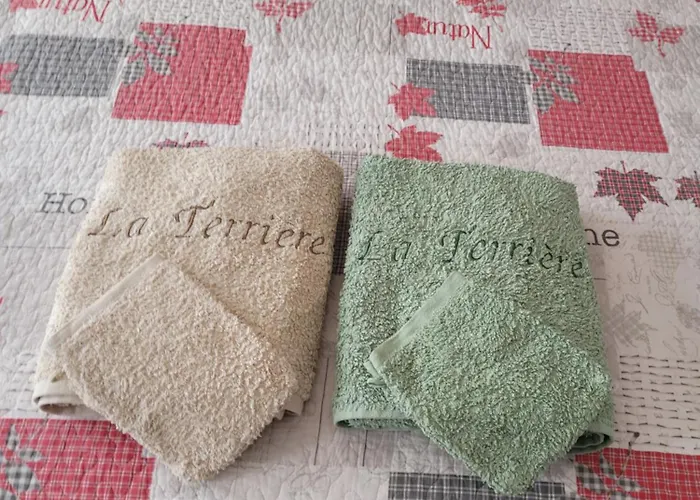 De La Terriere En Dordogne-perigord * La Chapelle-Aubareil